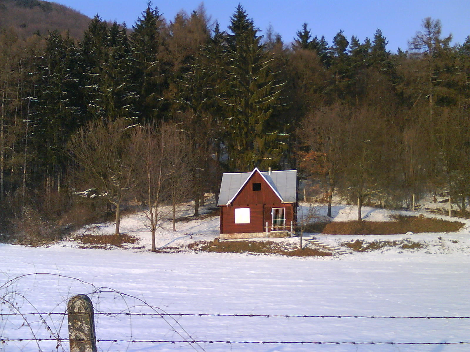 DSC00373.JPG