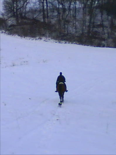 DSC00380.JPG